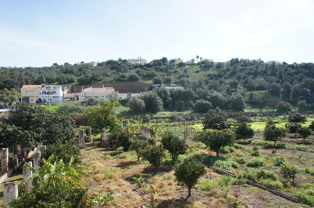 Horta Grande Hotell Silves Rom bilde